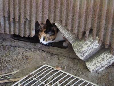 20140727_082537000_iOS 1.jpg